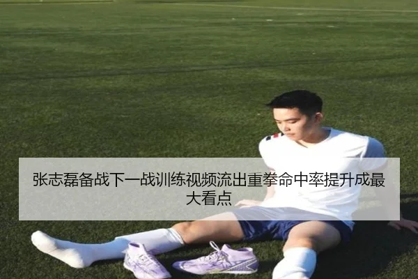 张志磊备战下一战训练视频流出重拳命中率提升成最大看点